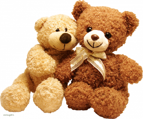 two baby bear dolls sitting in dark color